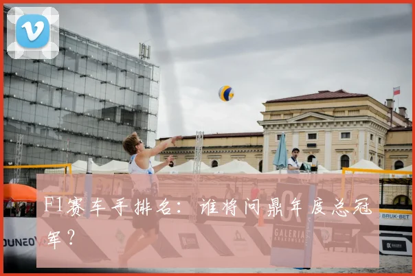 F1赛车手排名：谁将问鼎年度总冠军？